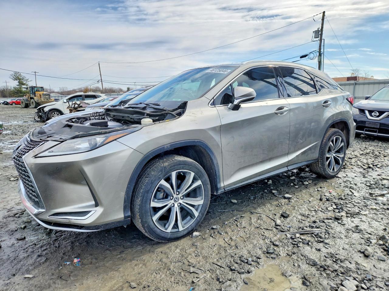 Salvage Lexus RX Image
