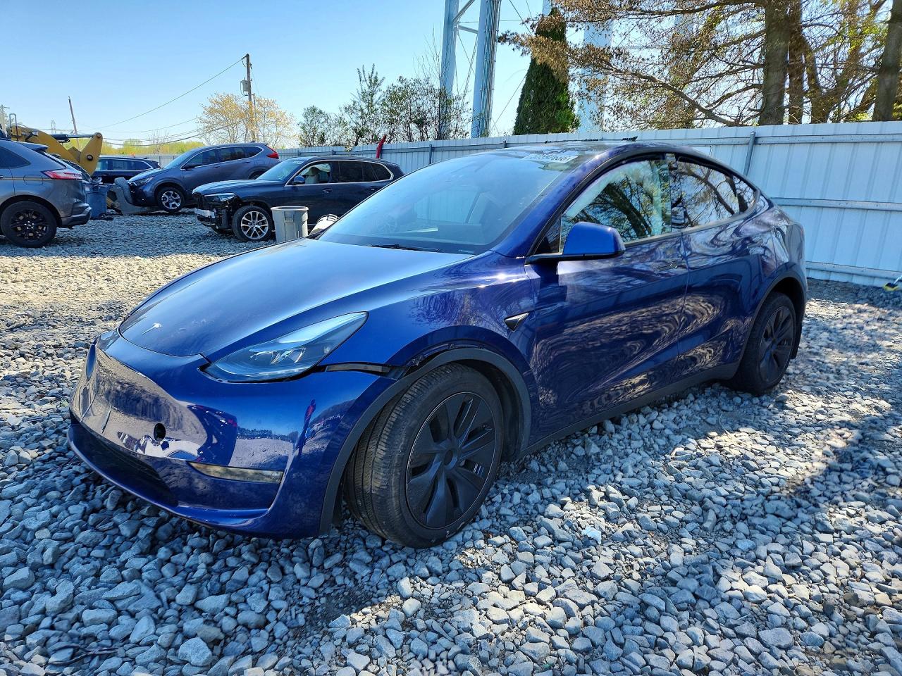 Salvage Tesla Model Y Image