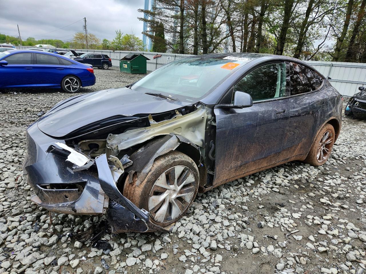 Salvage Tesla Model Y Image