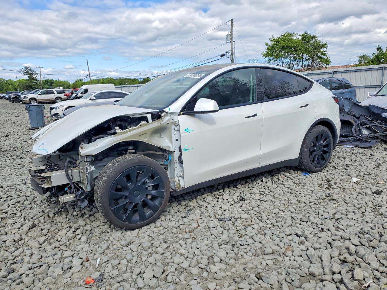 Salvage Tesla Model Y Image