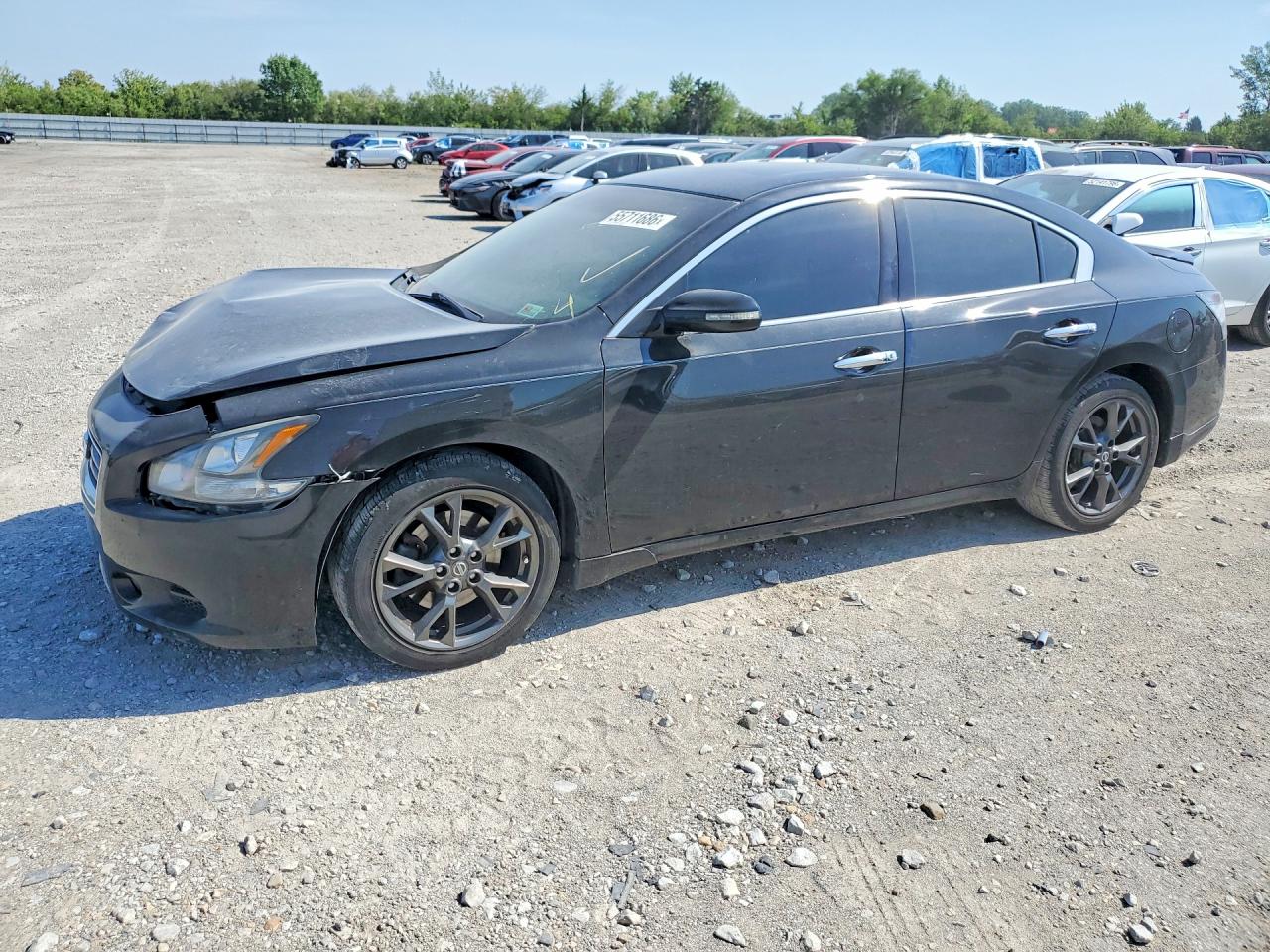 Salvage Nissan Maxima Image