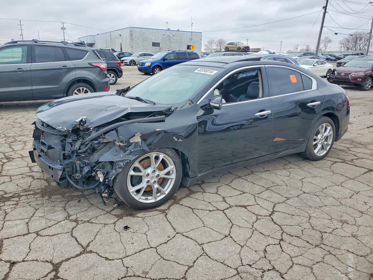 Salvage Nissan Maxima Image