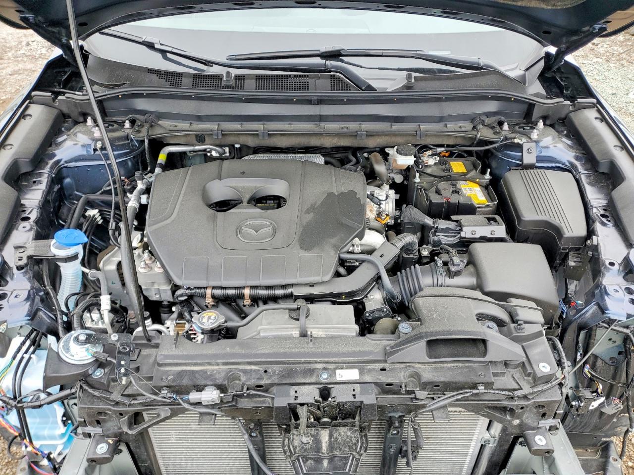 Mazda Cx Preferred