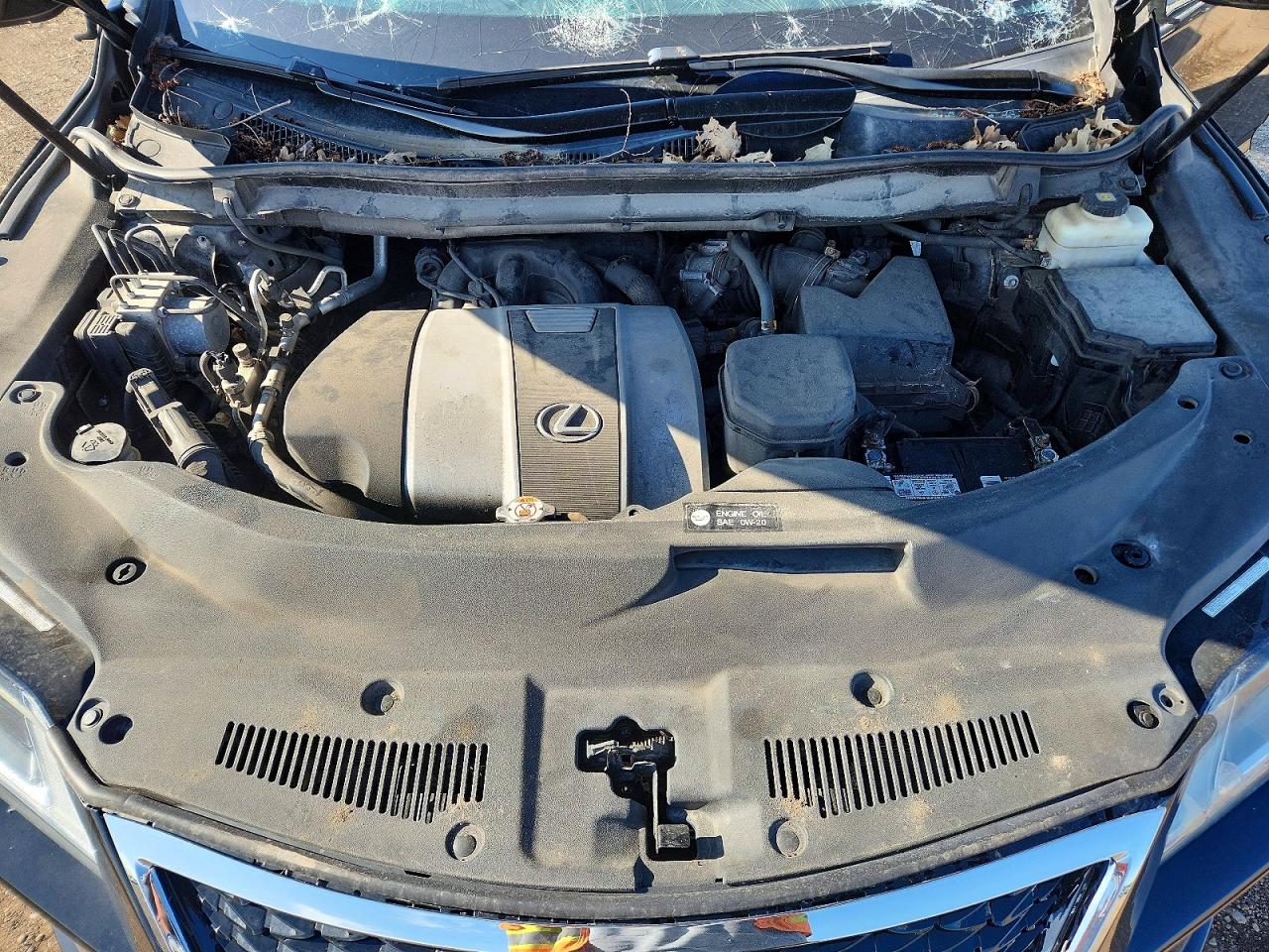 Lexus RX F Sport