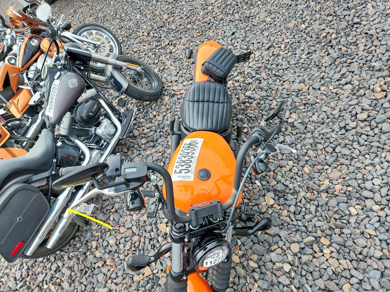Harley-Davidson Fxbbs
