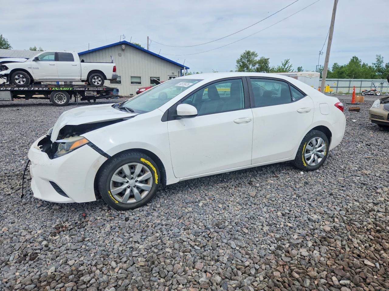Salvage Toyota Corolla Image
