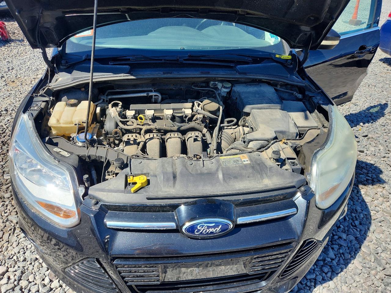 Ford Focus Sel