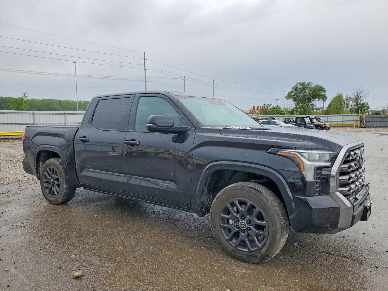 Toyota Tundra Platinum Hv