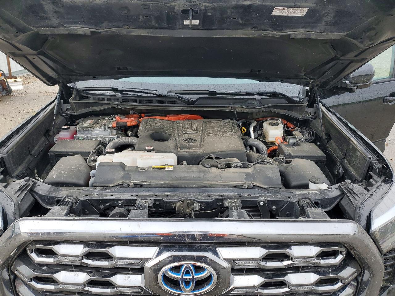 Toyota Tundra Platinum Hv