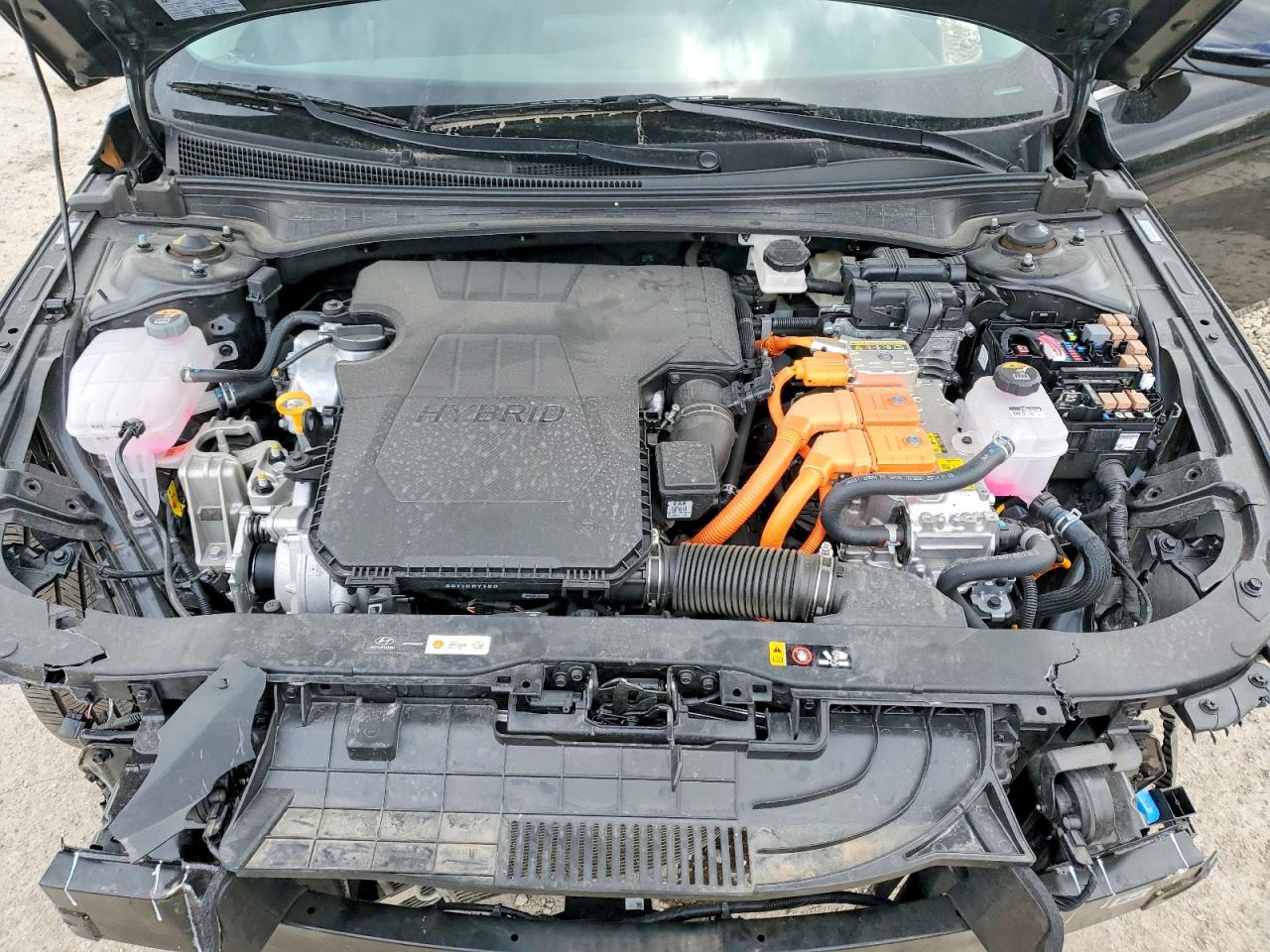 Hyundai ELANTRA Limited