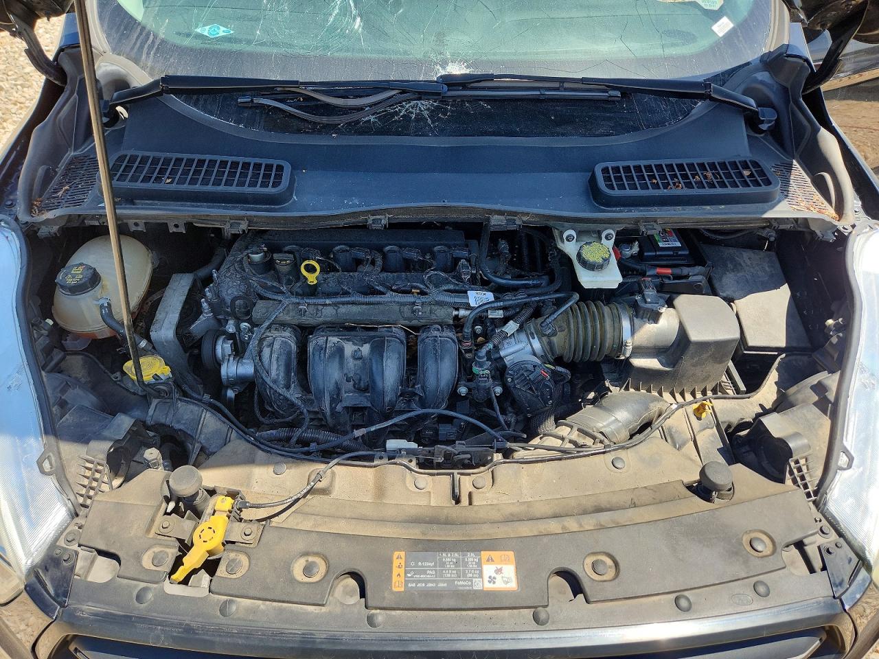 Ford Escape S