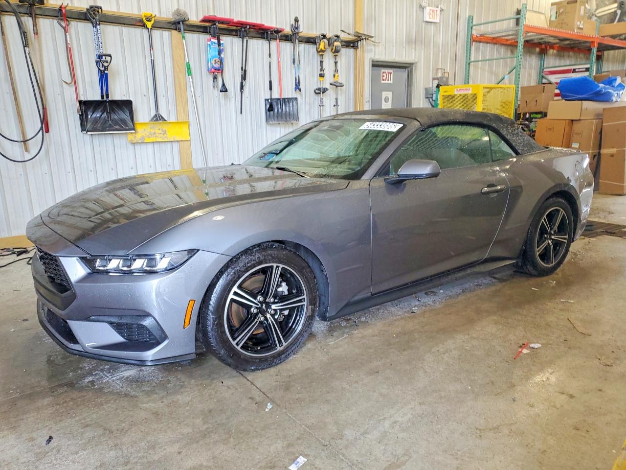 Salvage Ford Mustang Image