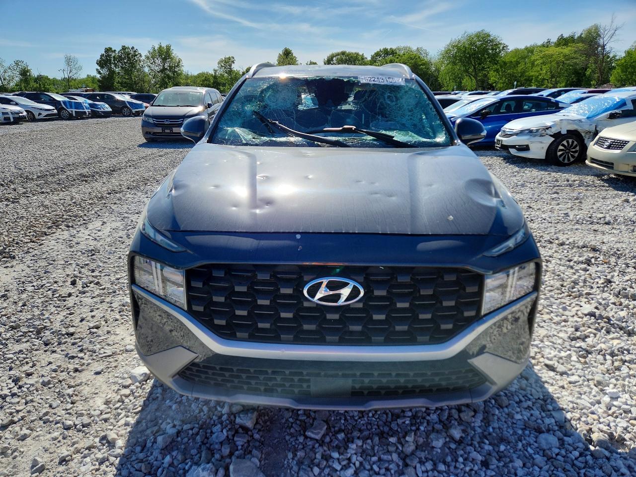 Hyundai SANTA FE Sel