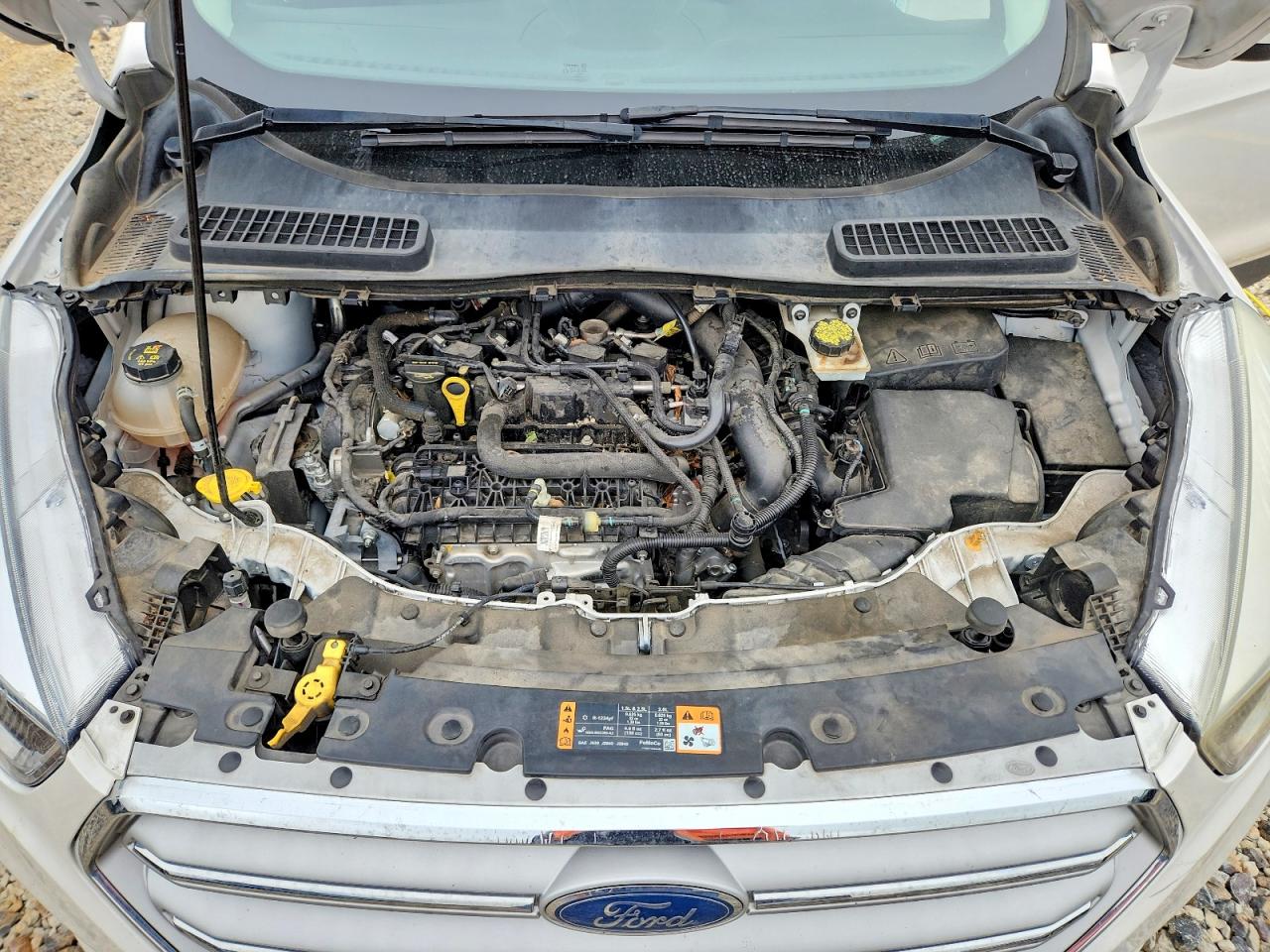 Ford Escape Se