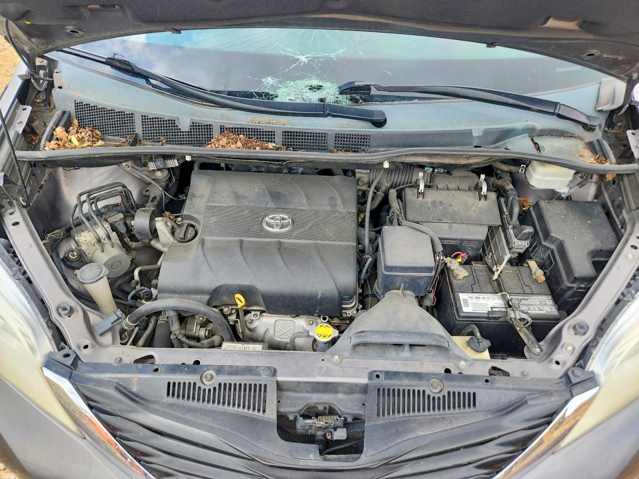 Toyota Sienna Le