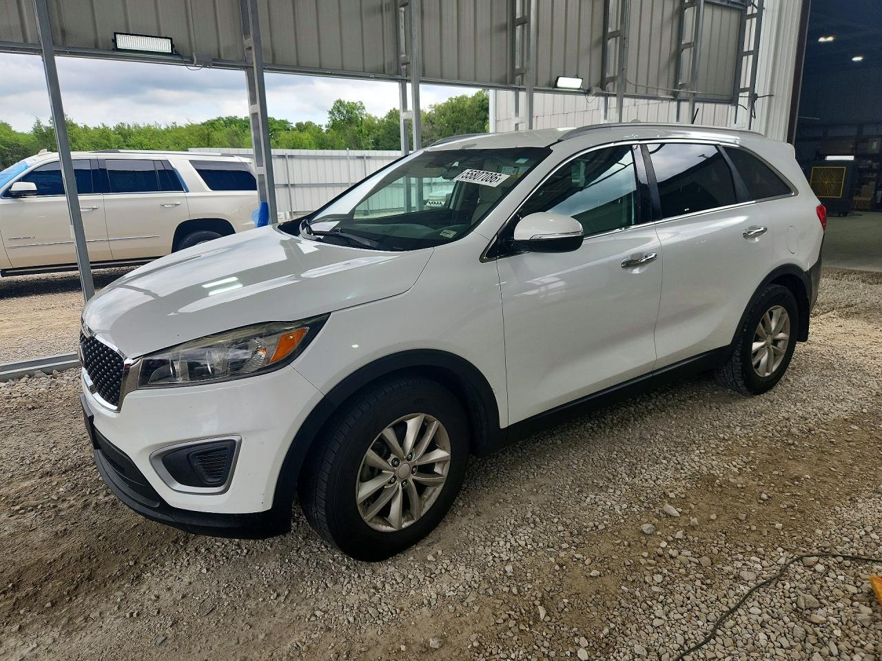 Salvage Kia Sorento Image