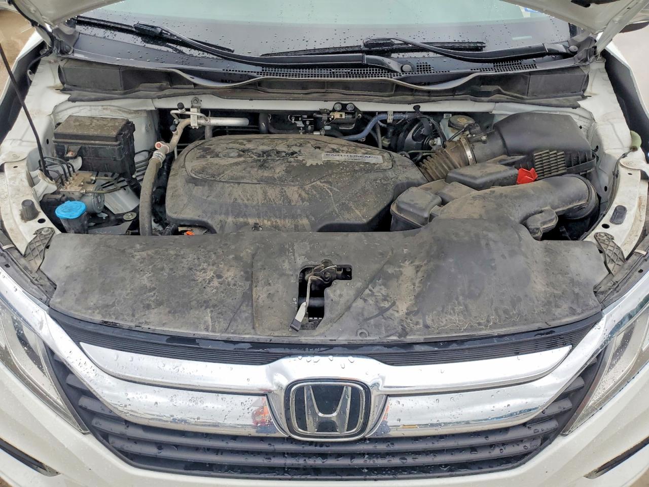 Honda Odyssey Exl