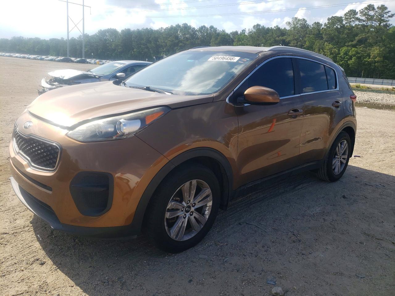 Salvage Kia Sportage Image