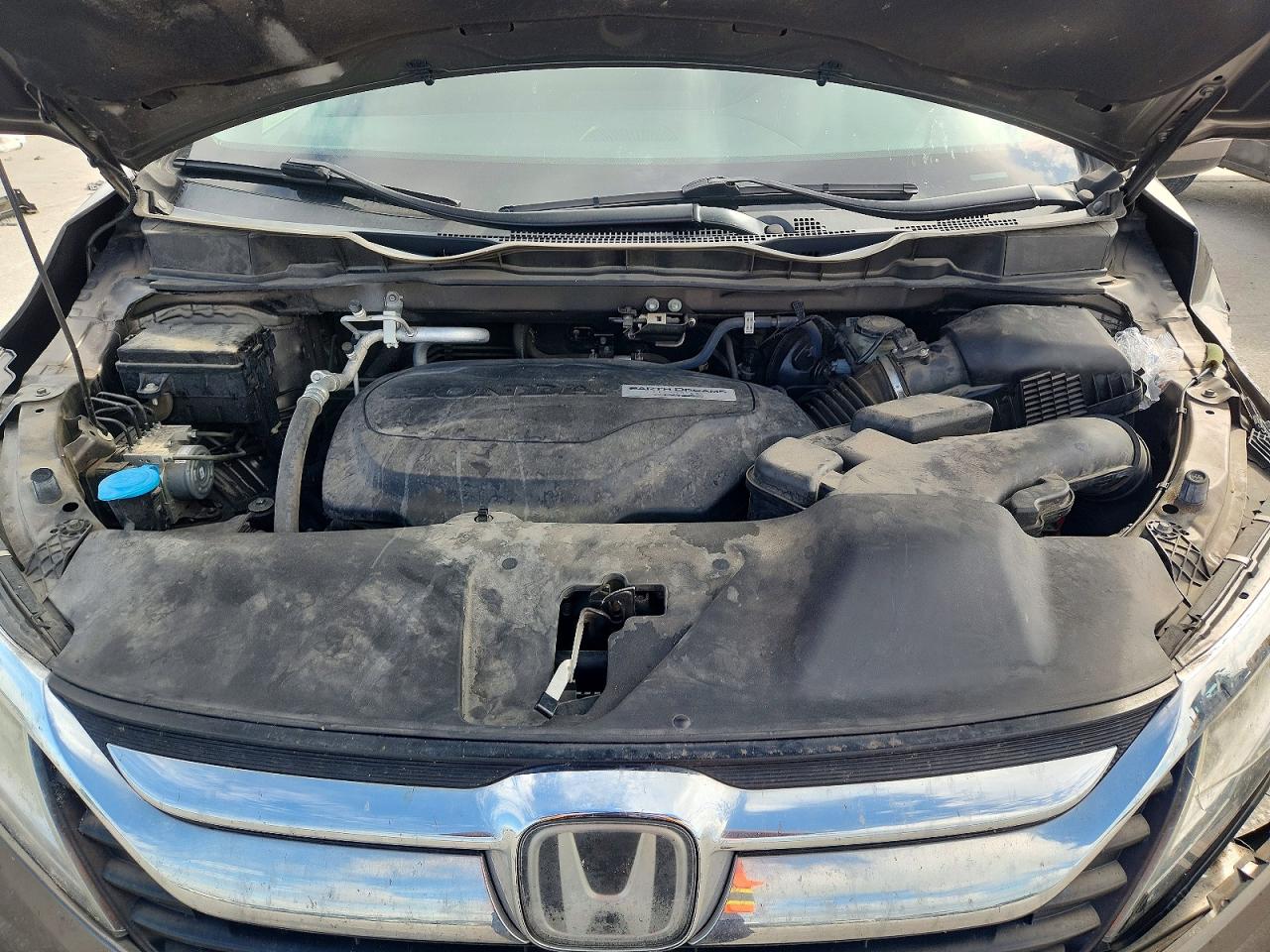 Honda Odyssey Elite
