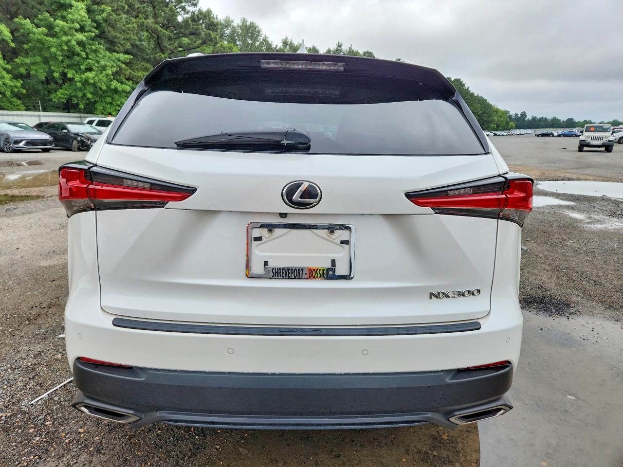 Lexus NX 300