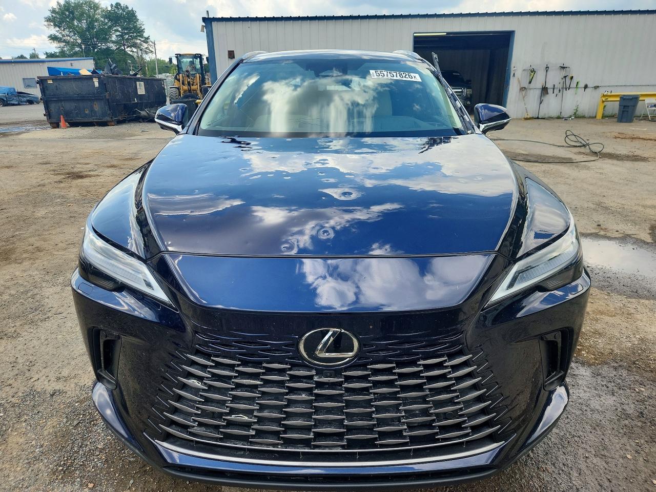 Lexus RX Luxury