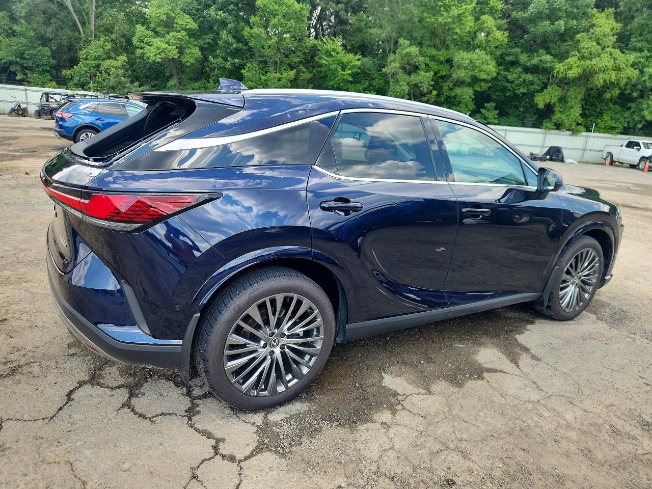 Lexus RX Luxury