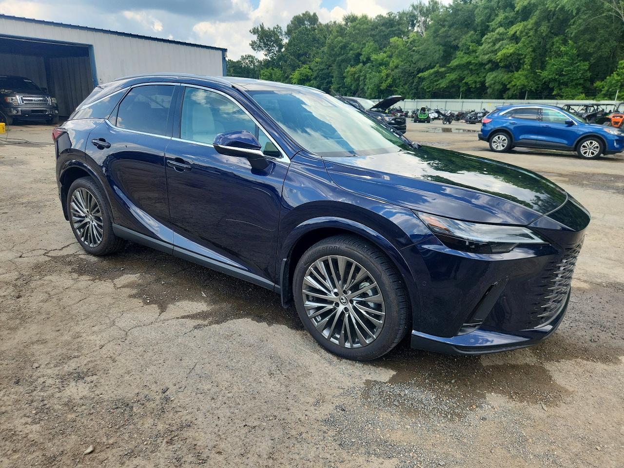 Lexus RX Luxury
