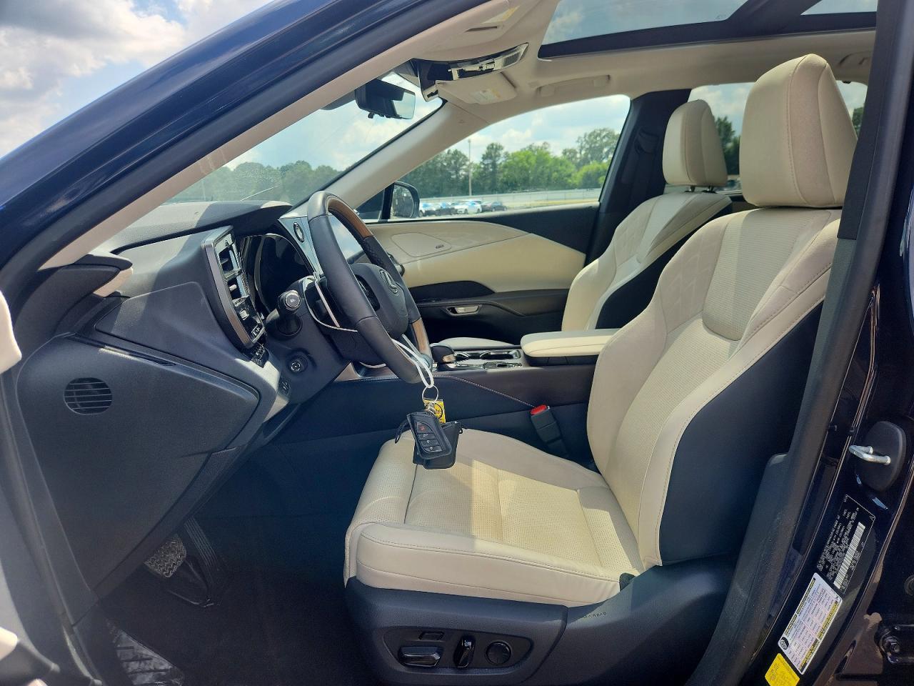 Lexus RX Luxury