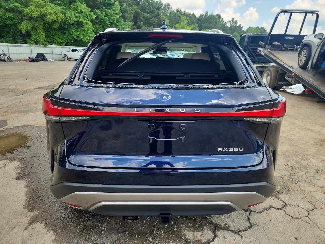 Lexus RX Luxury