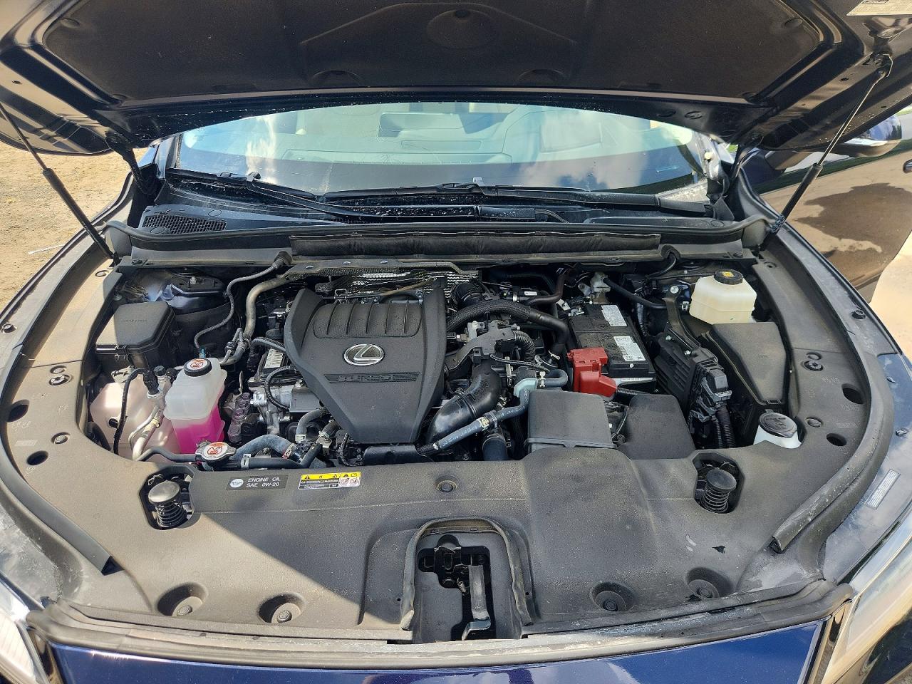 Lexus RX Luxury