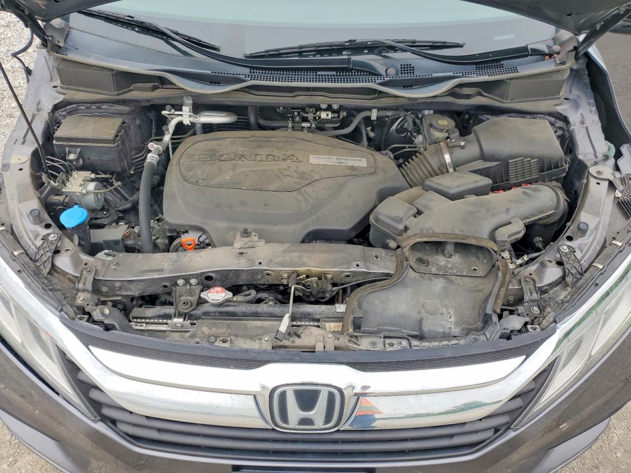 Honda Odyssey Exl
