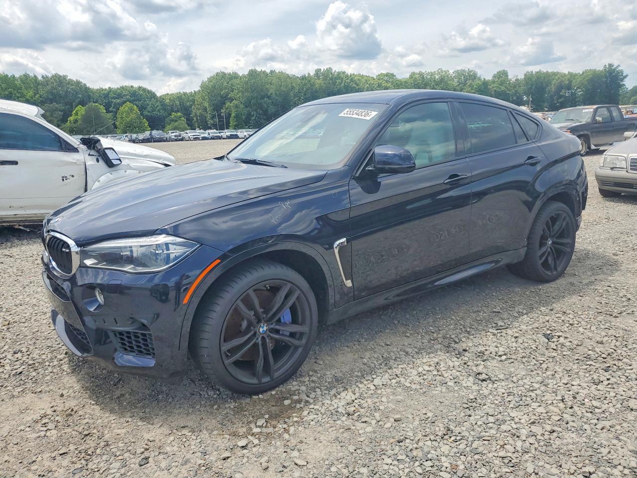 Salvage BMW X Series Image