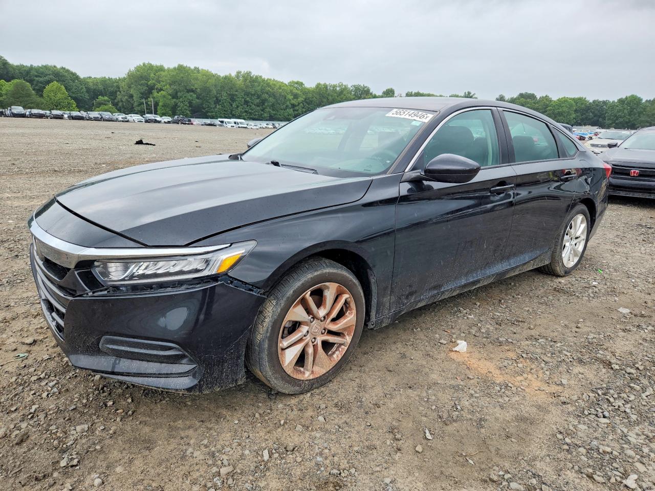 Salvage Honda Accord Image