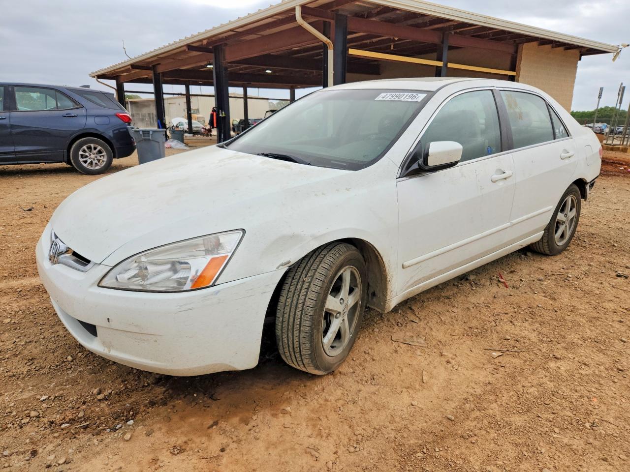 Salvage Honda Accord Image