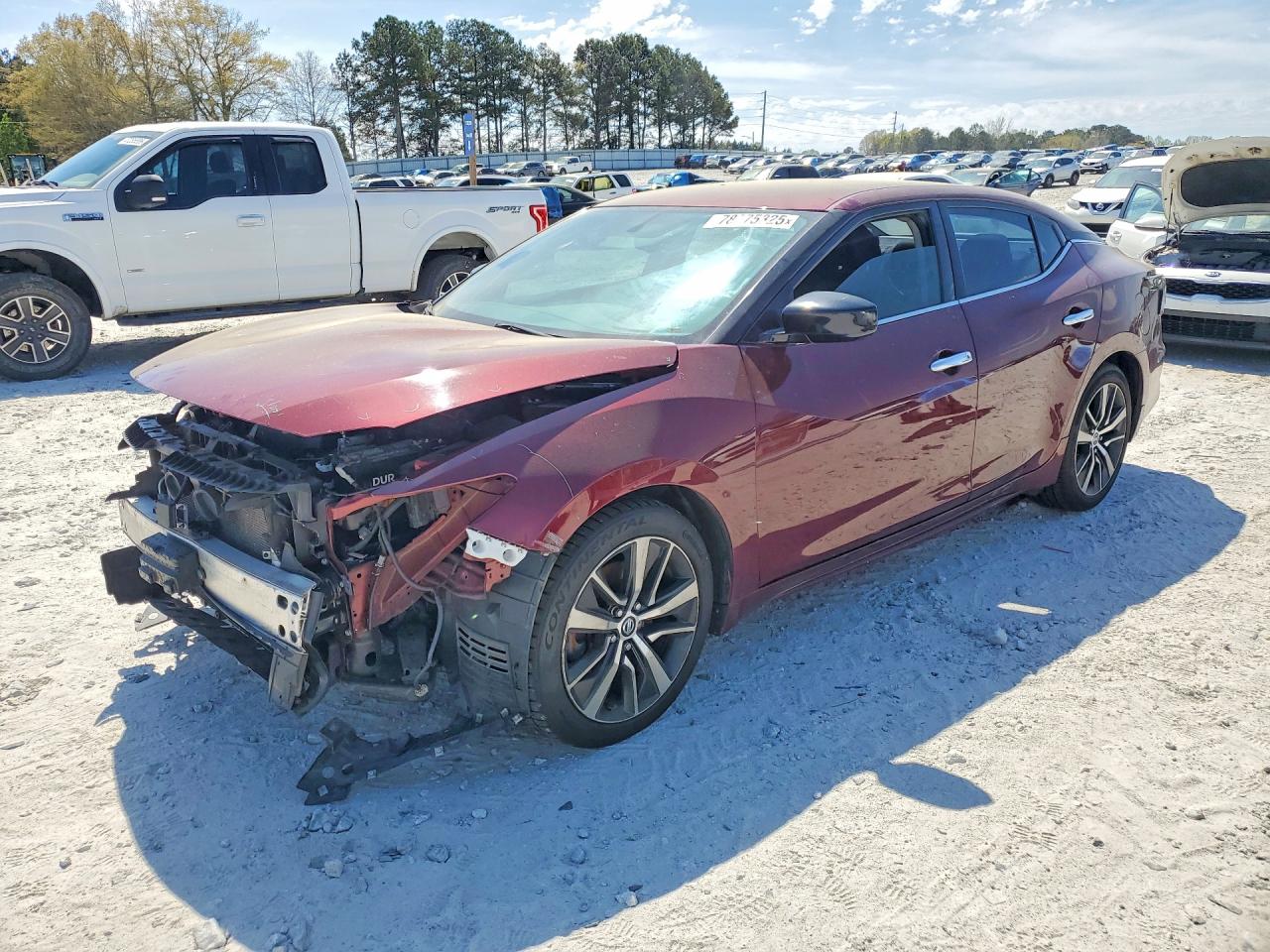 Salvage Nissan Maxima S Image