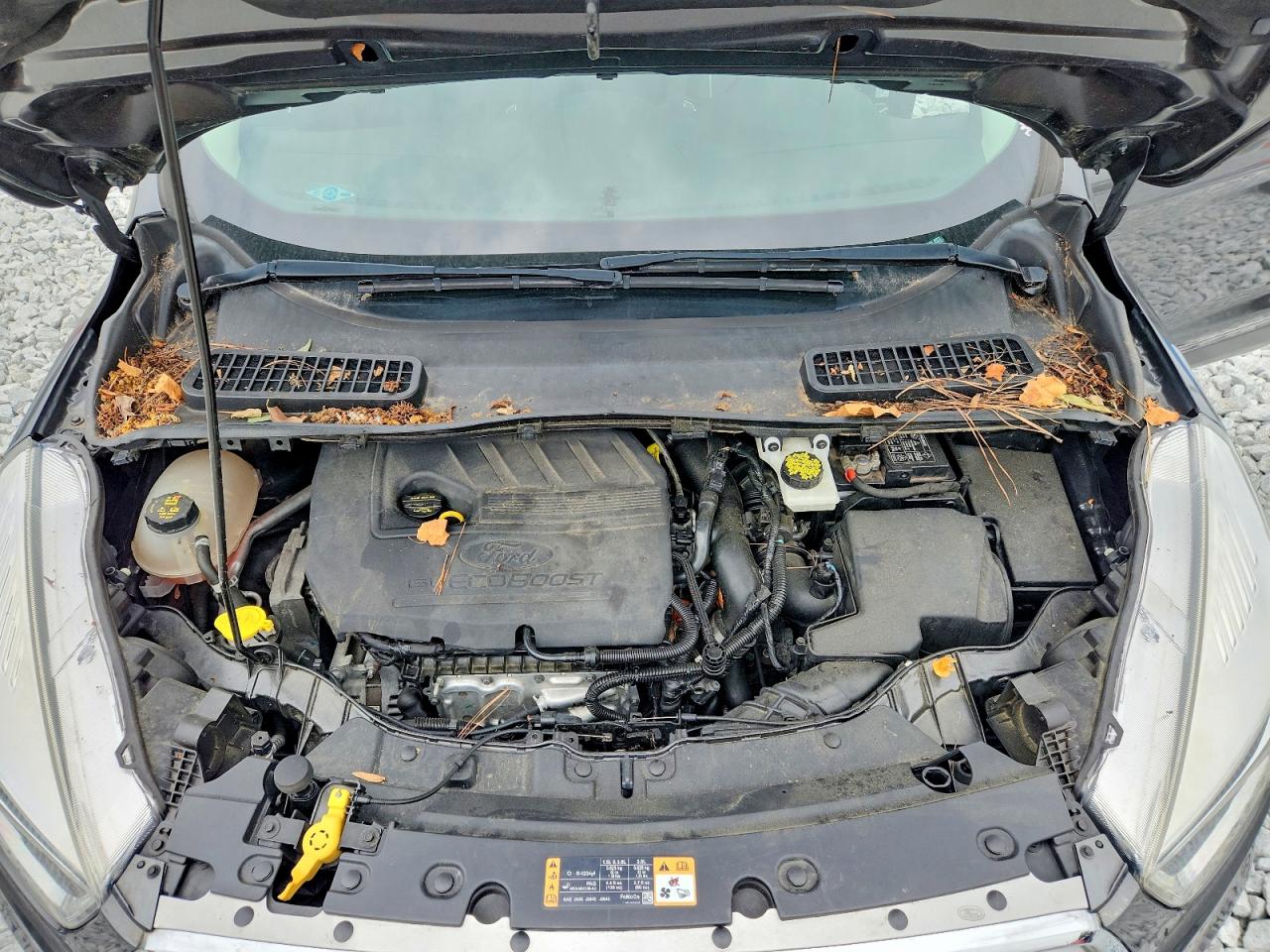 Ford Escape Se