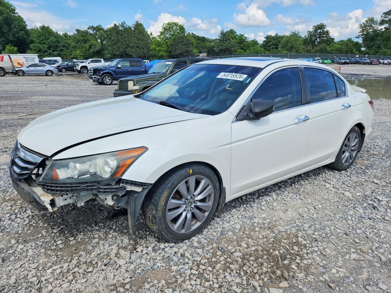 Salvage Honda Accord Image