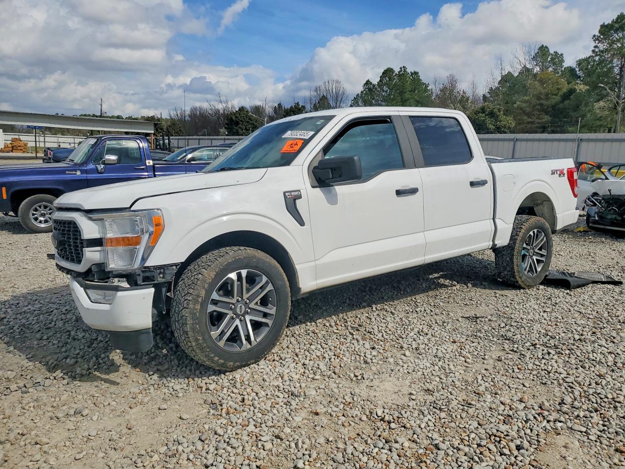 Salvage Ford F-150 Image