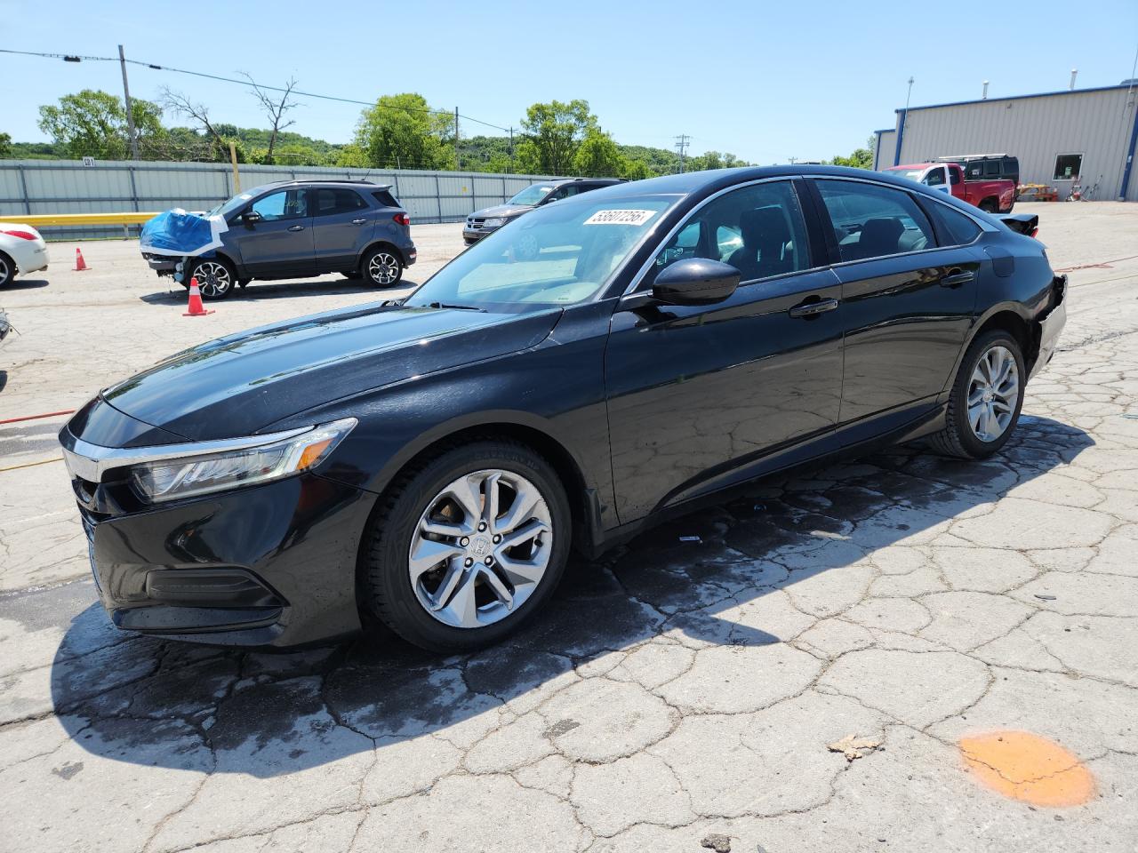 Salvage Honda Accord Image