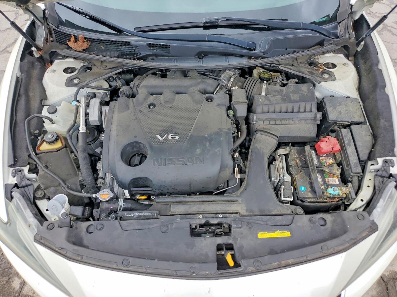 Nissan Maxima Platinum