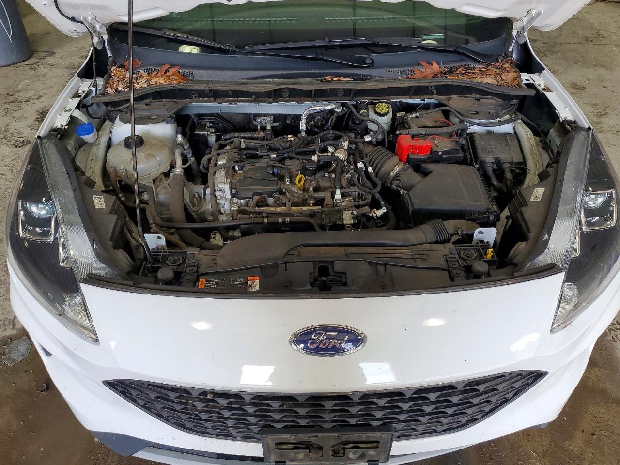 Ford Escape S
