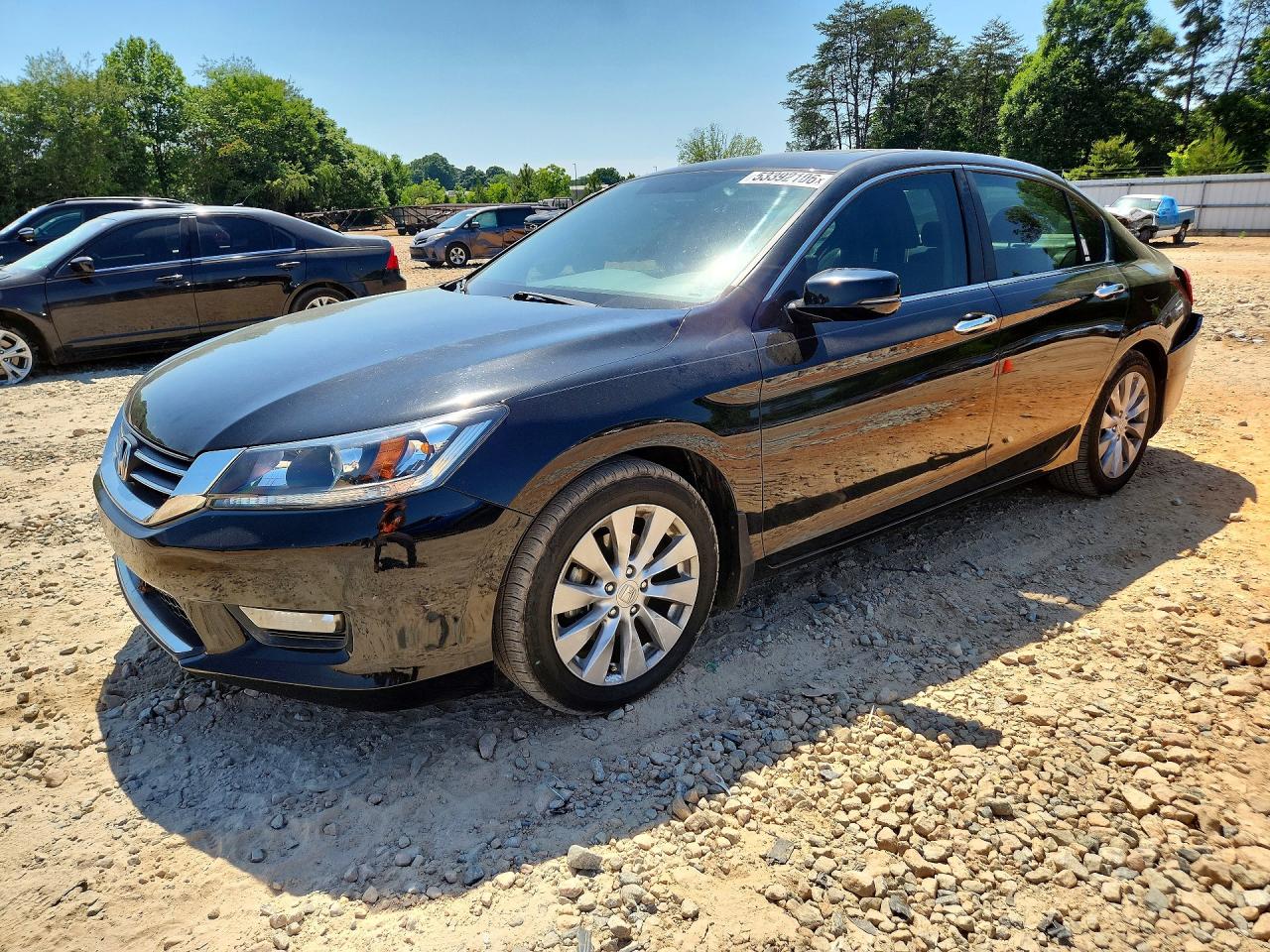 Salvage Honda Accord Image