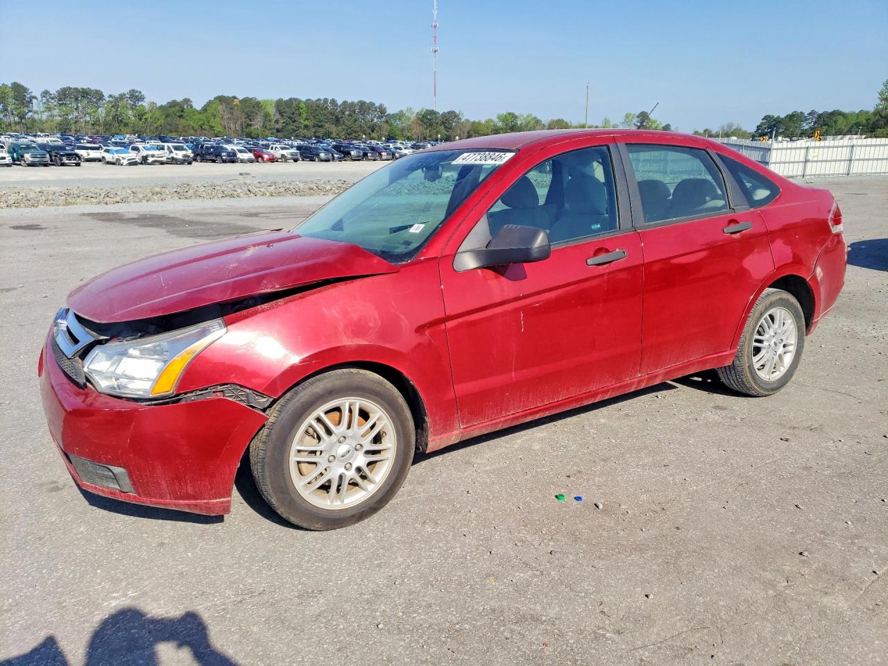Salvage Ford Focus Image