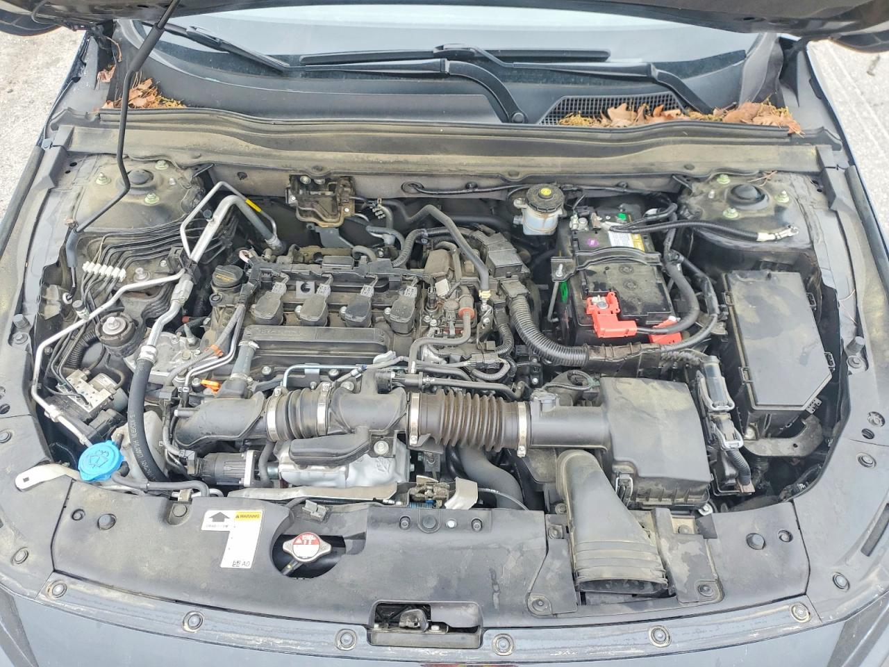 Honda Accord Lx