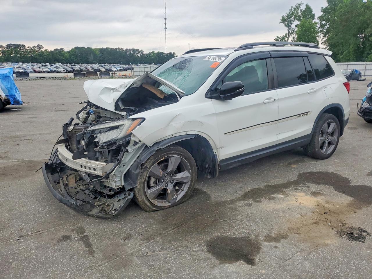Salvage Honda Passport Image