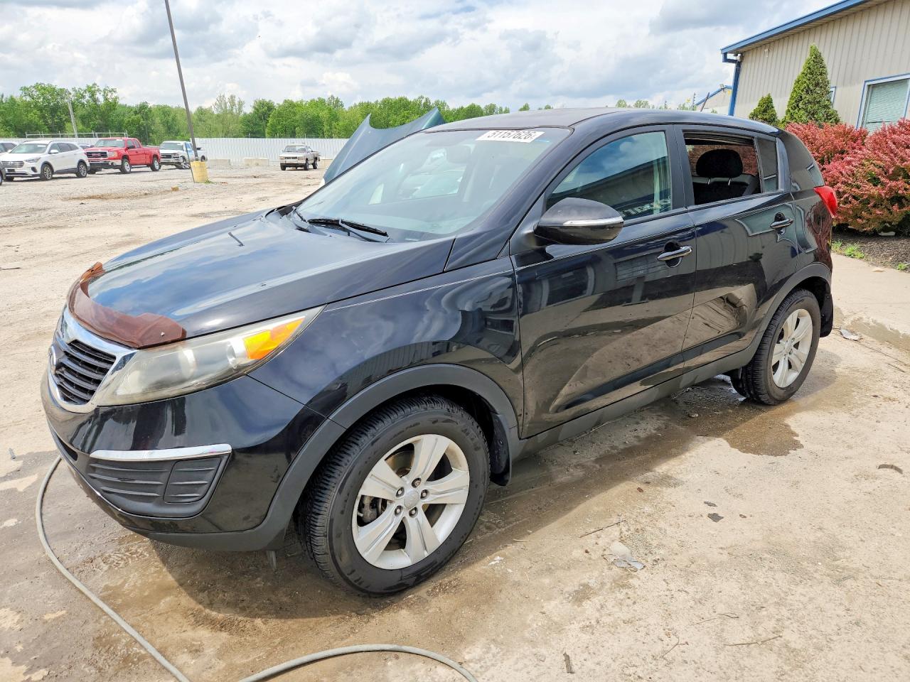 Salvage Kia Sportage Image