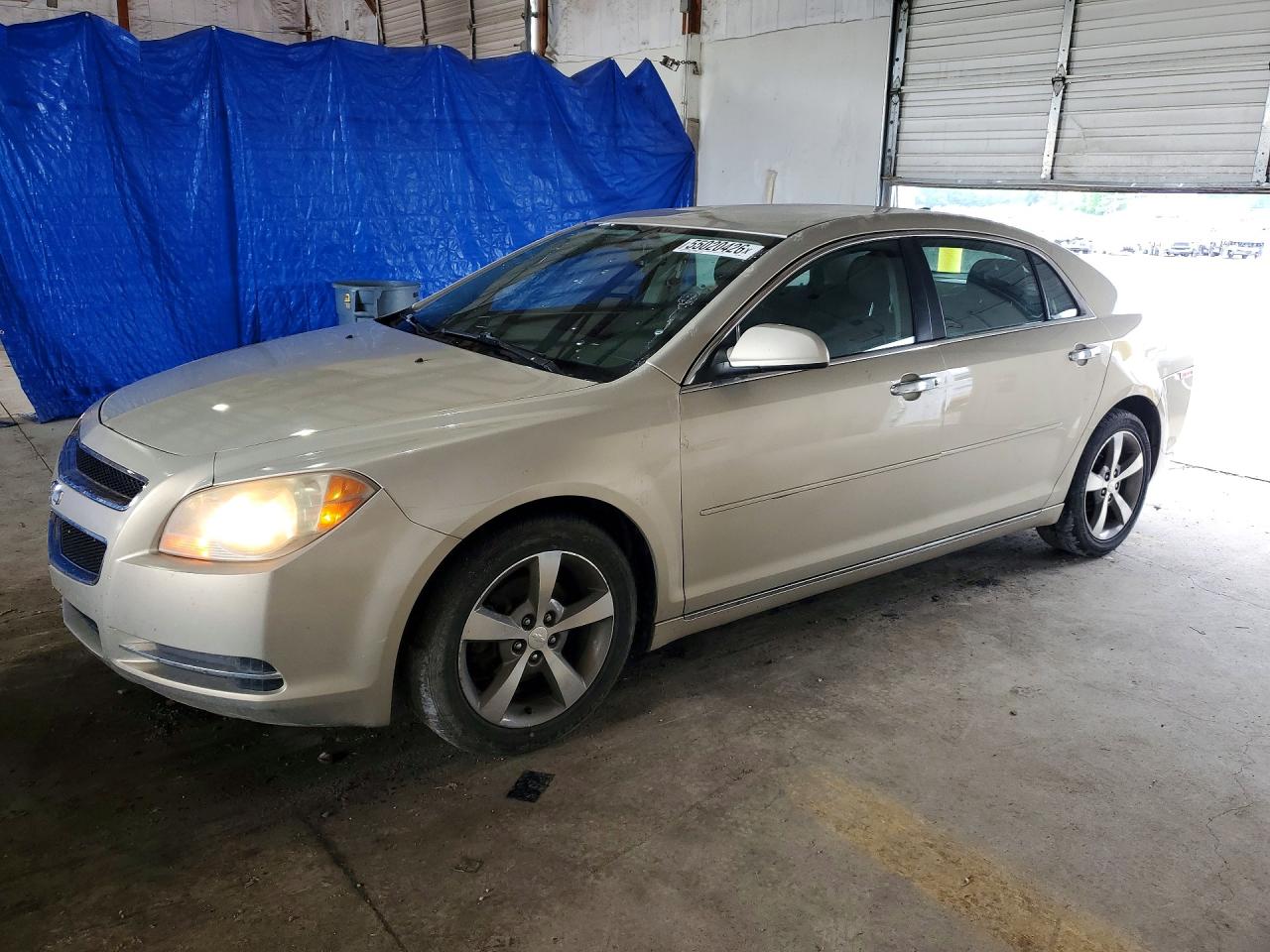 Salvage Chevrolet Malibu Image