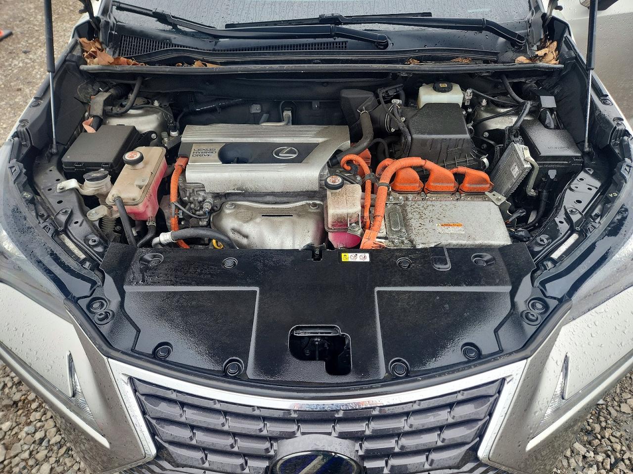 Lexus NX 300h