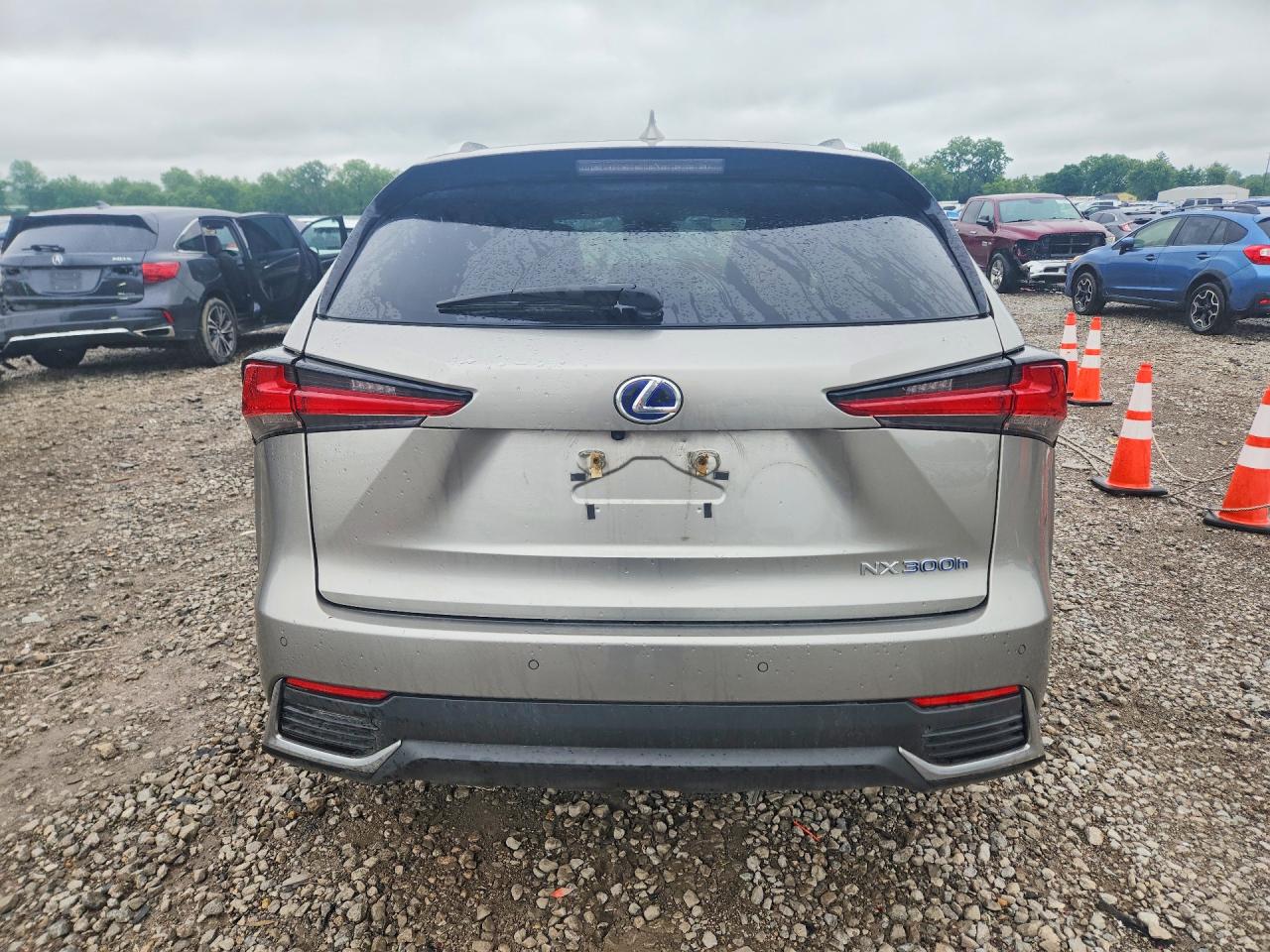 Lexus NX 300h