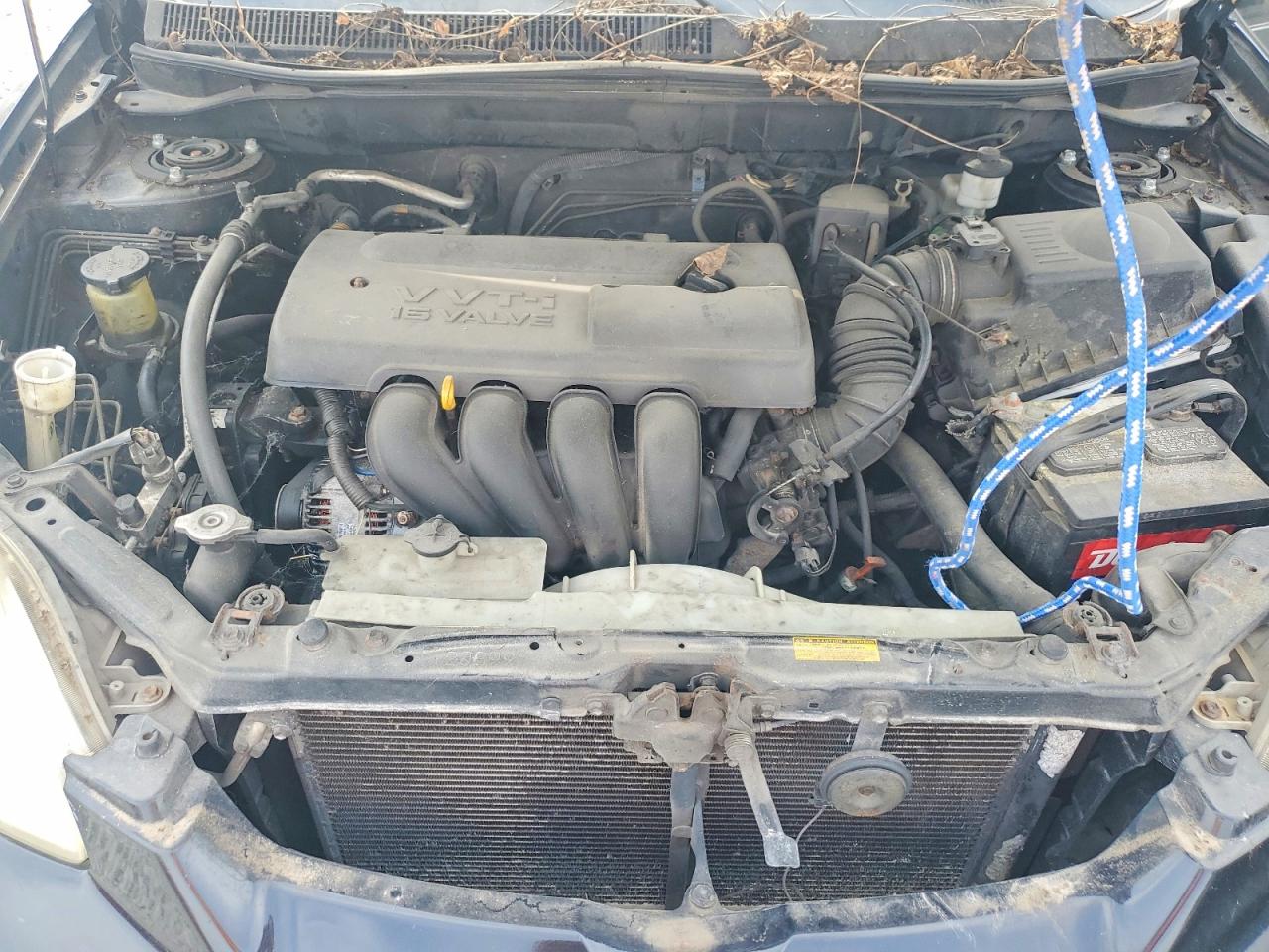 Toyota Corolla Xr